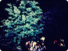 Gartenstrahler in Aktion