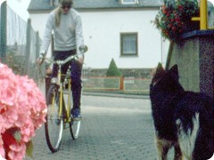 Handelshof-Fahrrad für 333.-DM